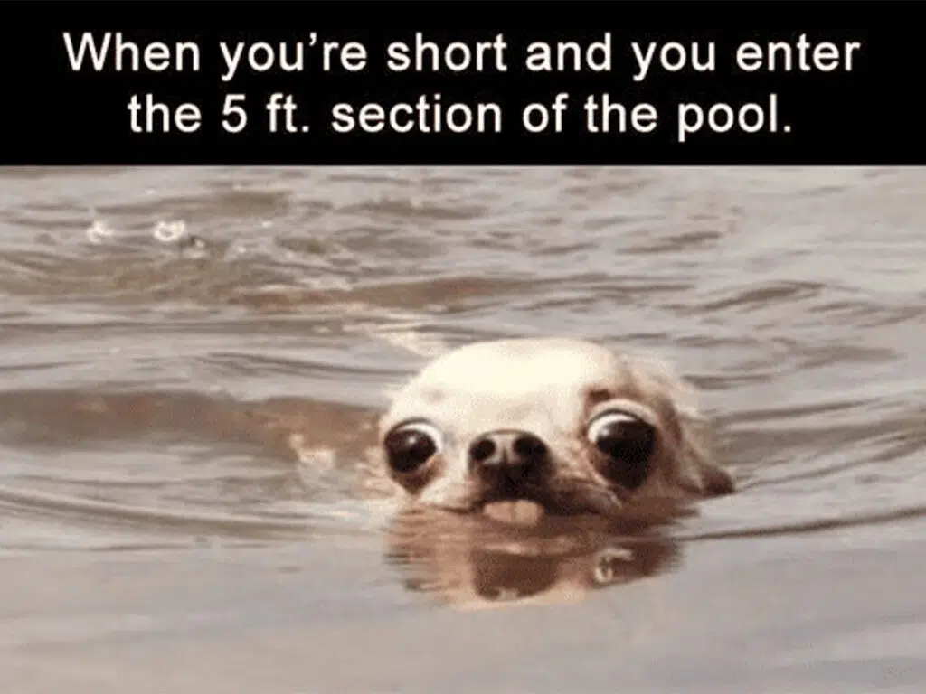 "When you're short and you enter the 5 ft. section of the pool"