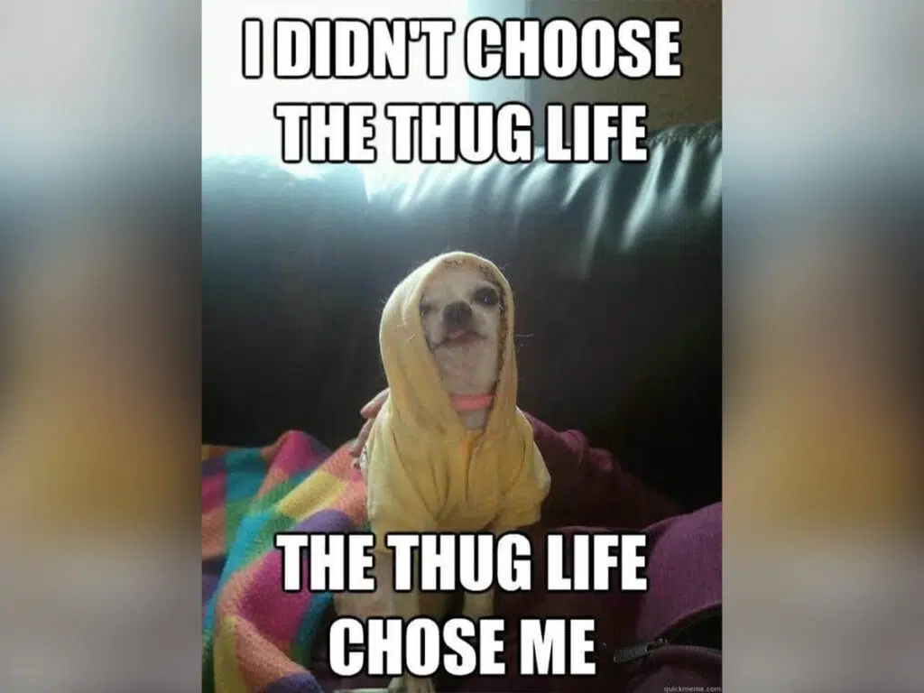 "I didn't choose the thug life, the thug life chose me"