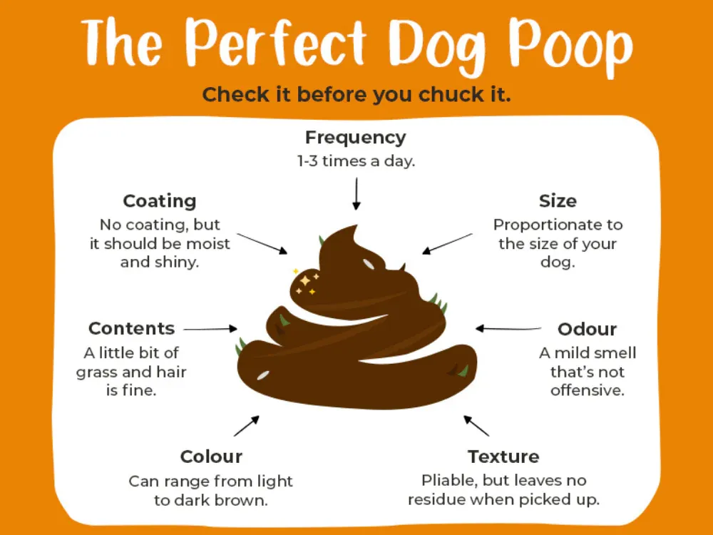 Dog poop color chart brown