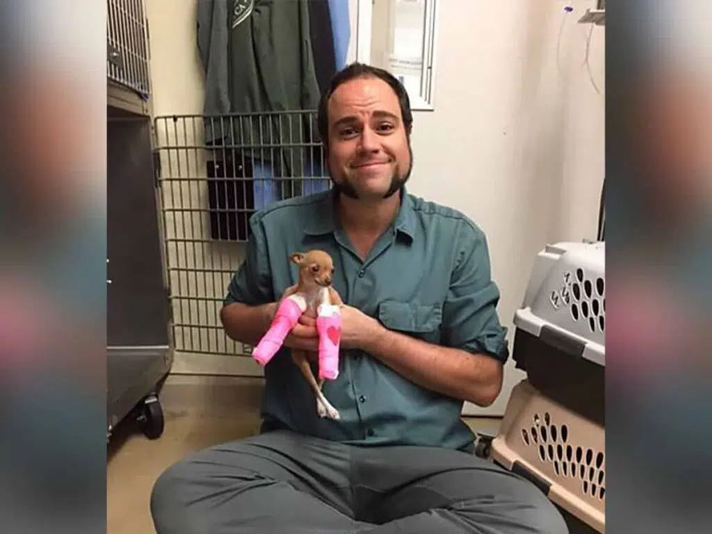 tiny chihuahua rescued from dumpster