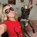 The Extraordinary Journey of Batman: A Chihuahua Pitbull Mix