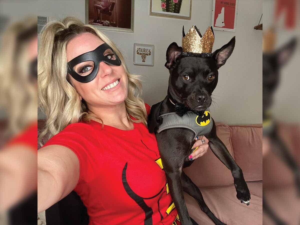 Read more about the article The Extraordinary Journey of Batman: A Chihuahua Pitbull Mix