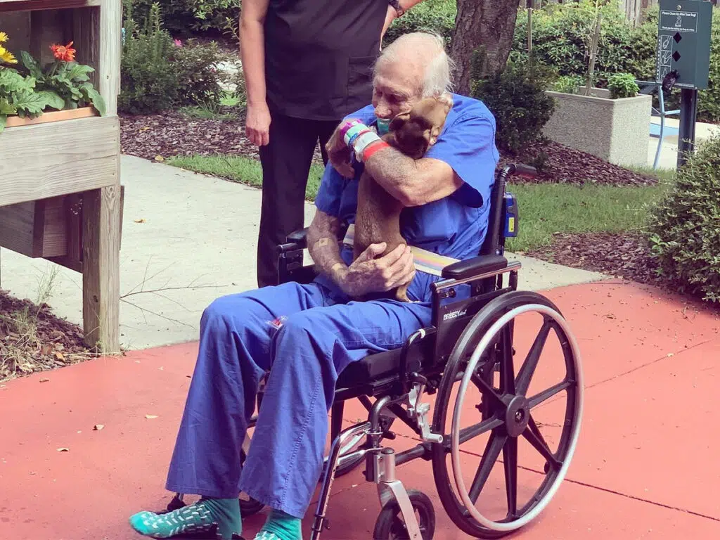 The reunion between the Chihuauha saved veteran and his pup