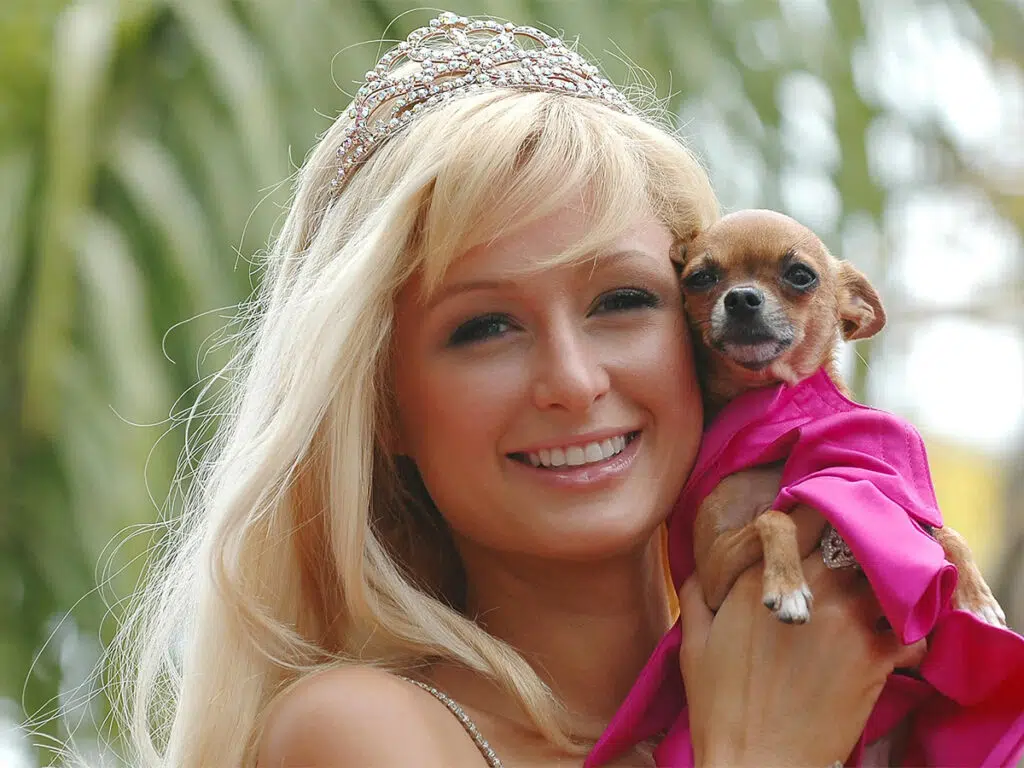 Paris Hilton holding her famous Chihuahua on her hands