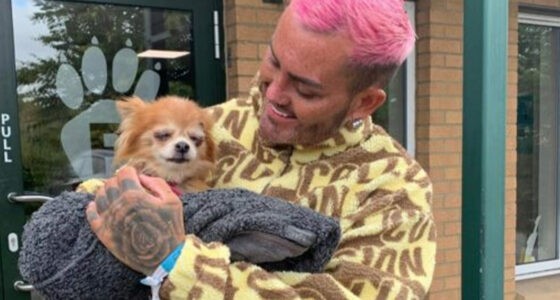 Lost Chihuahua Reunited After Escaping Home for Seven Days - Chihuacorner.com