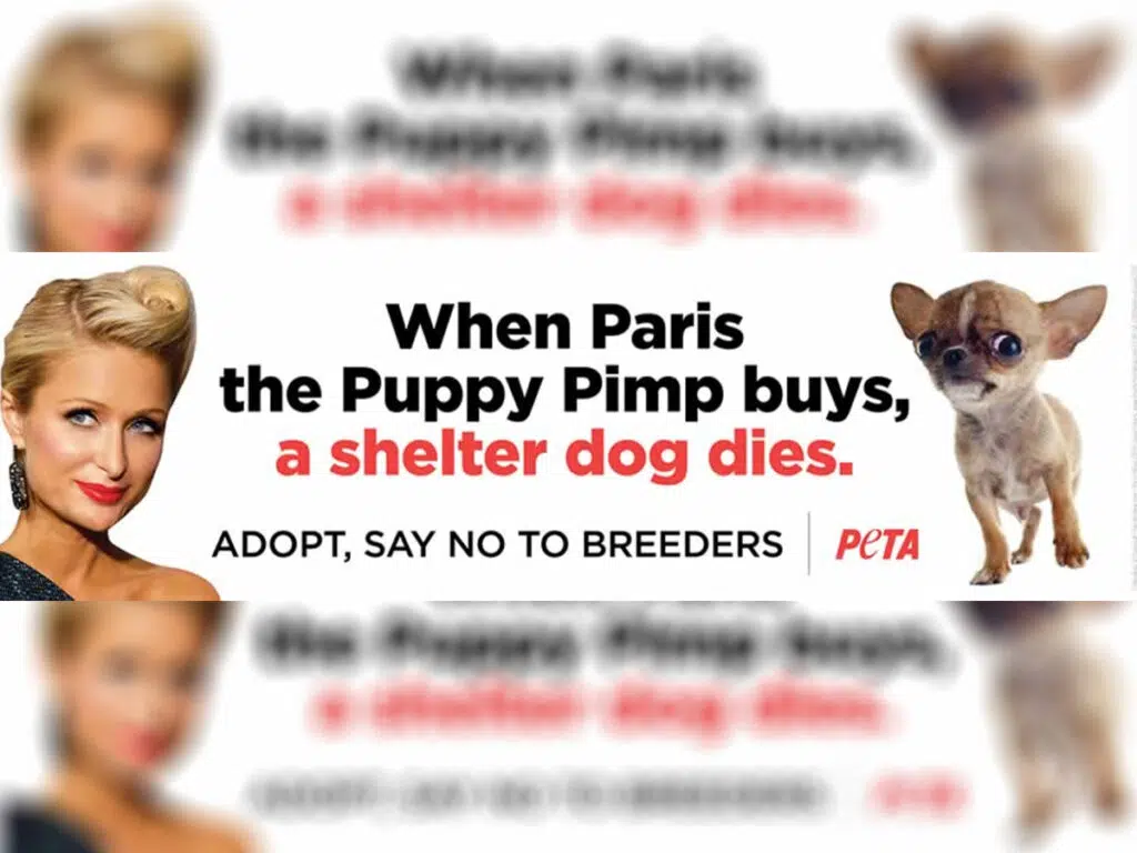 One of the signs PETA is planning to release against Paris Hilton