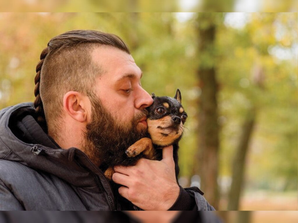 How to bond with your Chihuahua? Illustrated by a man kissing his Chihuahua