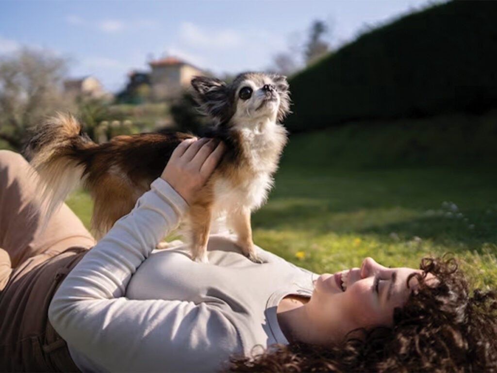 How to bond with your Chihuahua? Illustrated by a woman playing with her Chihuahua