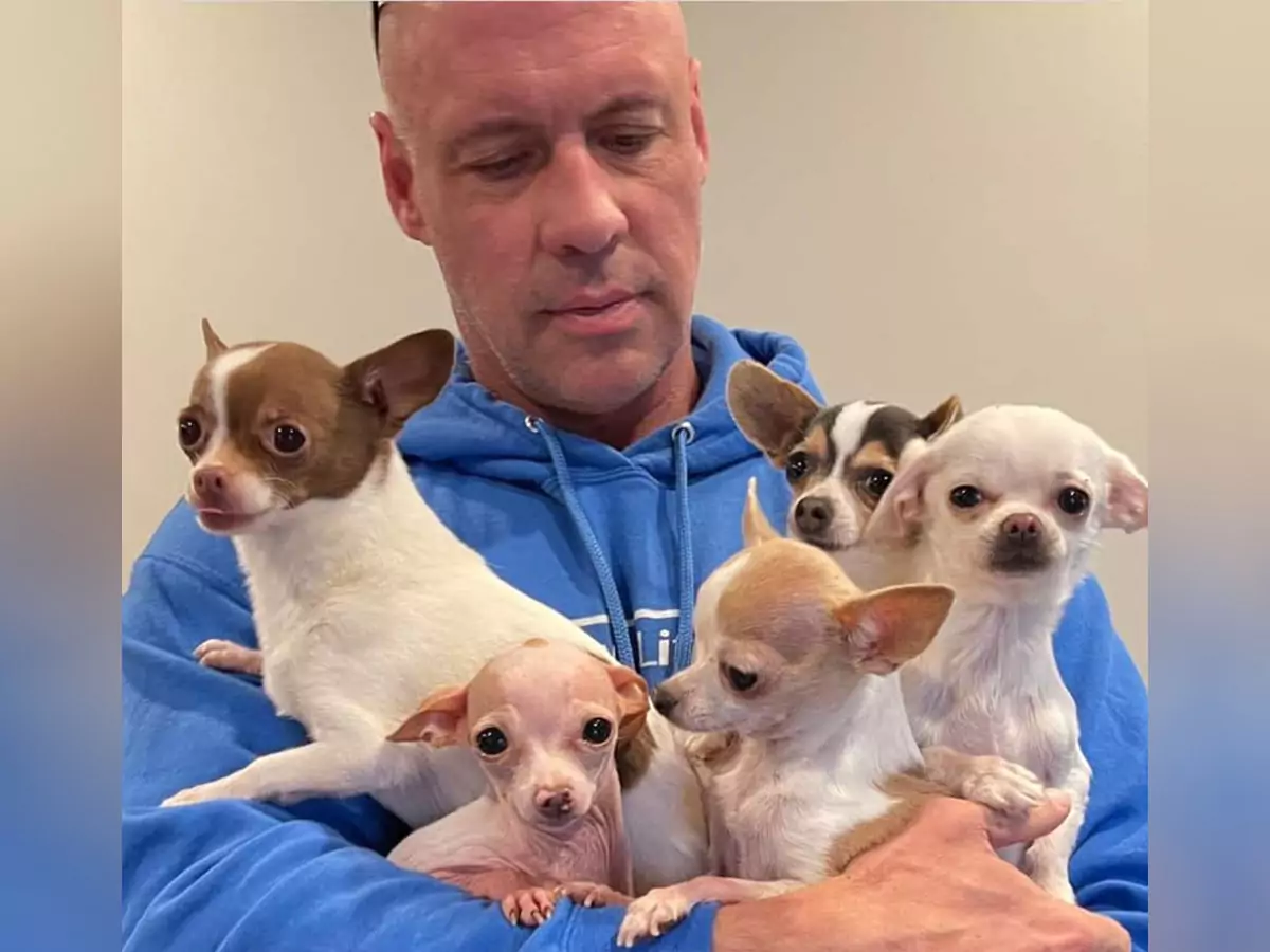 The man who rescued 30 Chihuahuas and started Bobby Humphreys Chihuahua Sanctuary