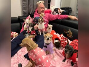 Read more about the article Bobby Humphreys: The Giant Who Rescued 30 Chihuahuas