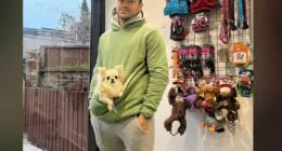 Mark Wright and Michelle Keegan Adopt Chihuahua - Chihuacorner.com