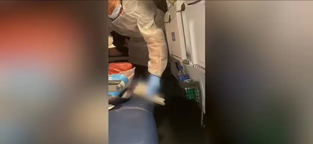 Chihuahua Chaos on United Flight, illustrated by personnel dealing with the issue