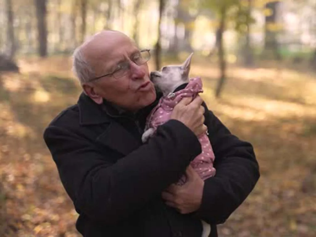 Rare bug caught from Chihuahua, illustrated by an old man holding a female pup