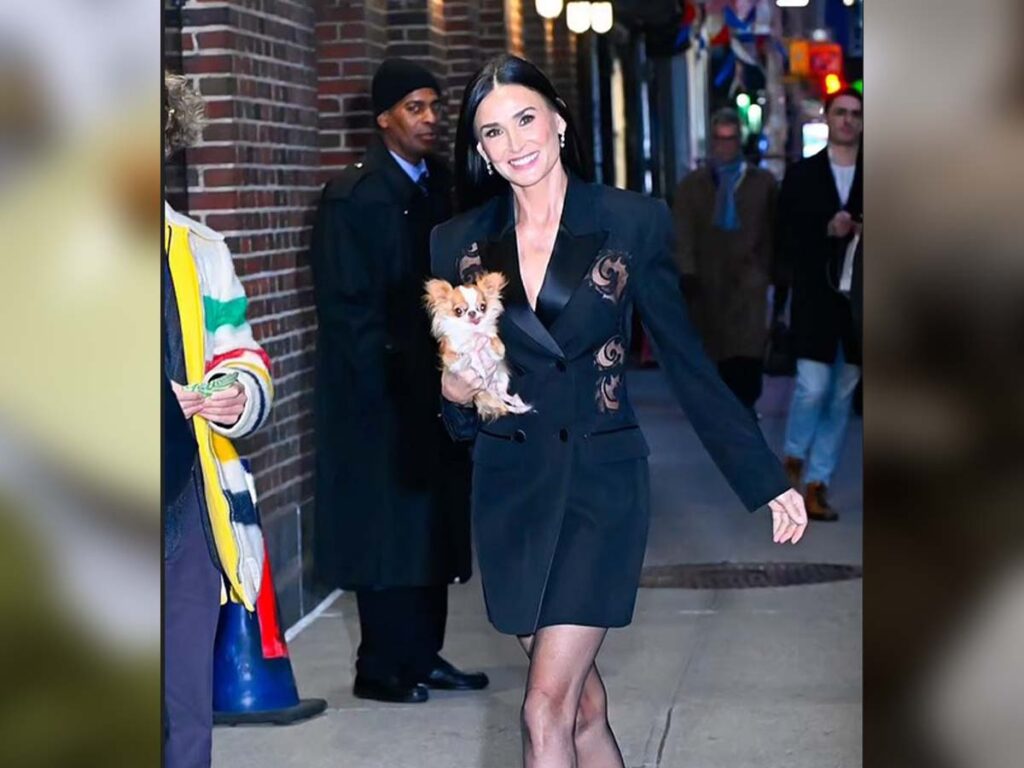 Demi Moore and Chihuahua Pilaf go in to see 