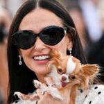 Demi Moore’s Chihuahua Pilaf Moved by Tom Holland’s Play