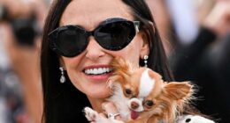 Demi Moore's Chihuahua Pilaf Moved by Tom Holland's Play 9 Demi Moore and Chihuahua Pilaf Enjoy Tom Holland's Play - Chihuacorner.com