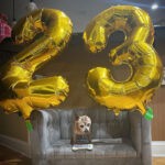 This 23-Year-Old ‘Puppy’ Just Celebrated Her Birthday—Here’s Her Secret to a Long, Happy Life