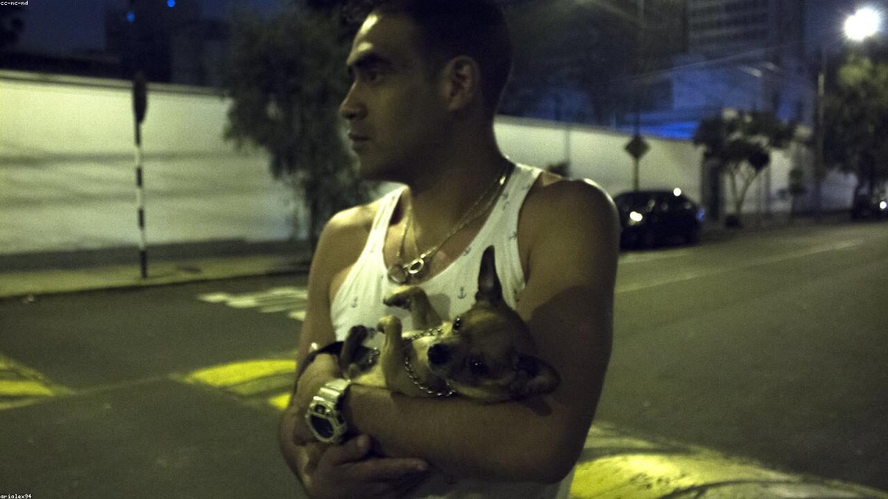 A Chihuahua Rescue Story That Restored My Faith in People inline image 2 with a Chihuahua