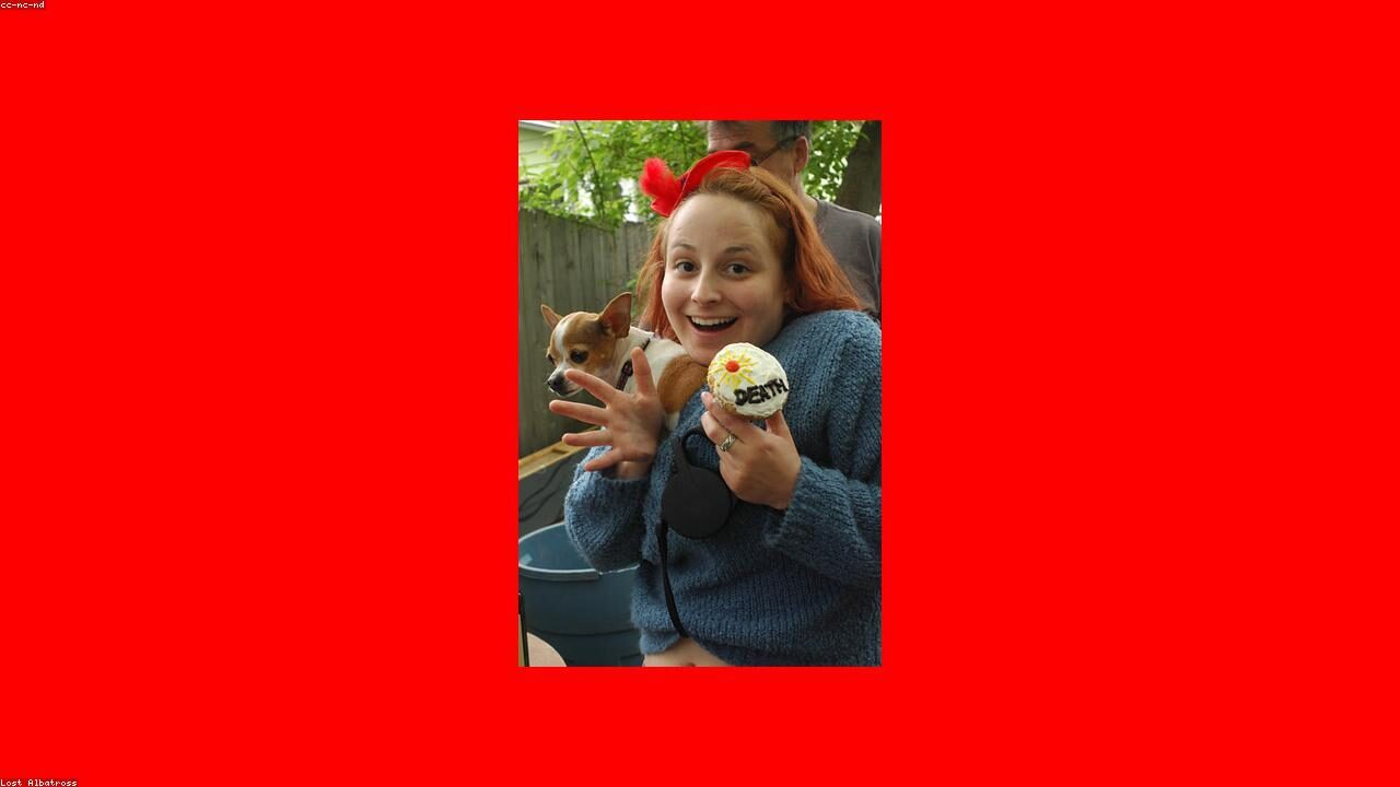 More dog parks Are Finally Adding small chihuahua sections and It Is About Time inline image 2 with a Chihuahua