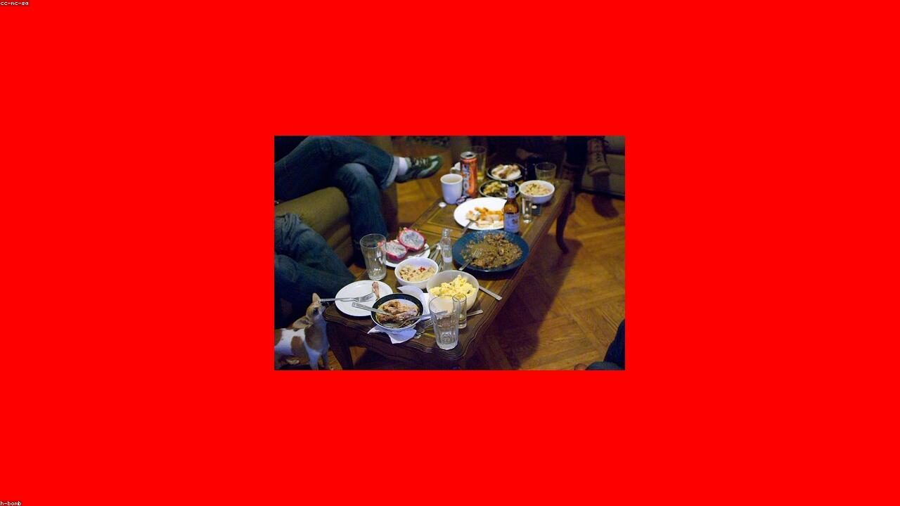 Chihuahua Food Allergies: How to Spot Them Before Your Dog Scratches Through the Floor featured image with a Chihuahua