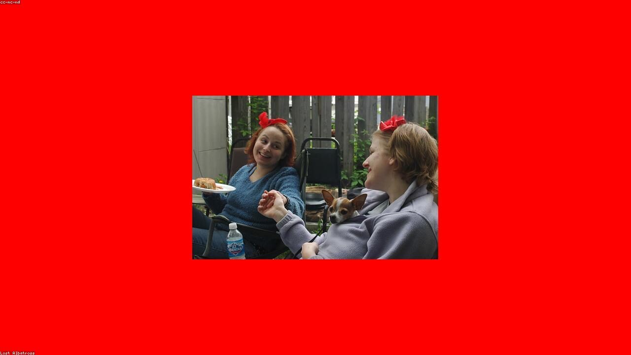 Chihuahua Obedience Training inline image 2 with a Chihuahua