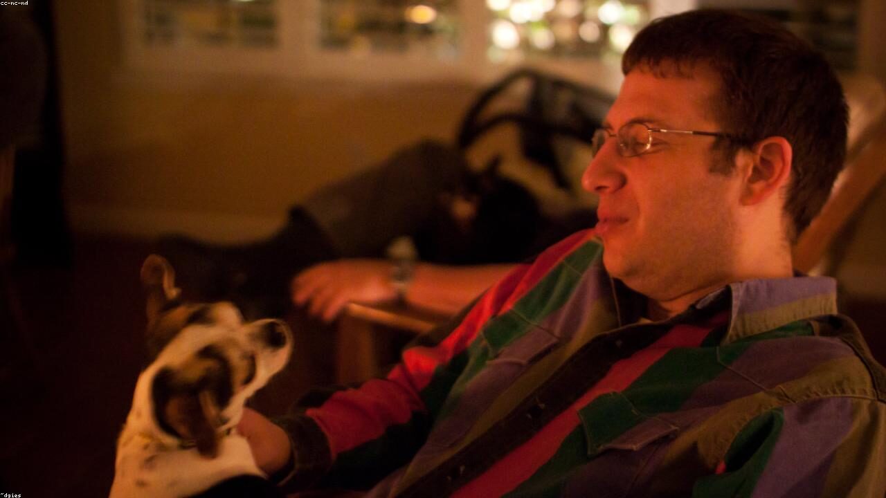 Crate Training Your Chihuahua inline image 2 with a Chihuahua