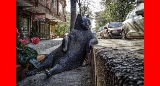 How One Chihuahua Therapy Dog Changed an Entire Nursing Home featured image with a Chihuahua