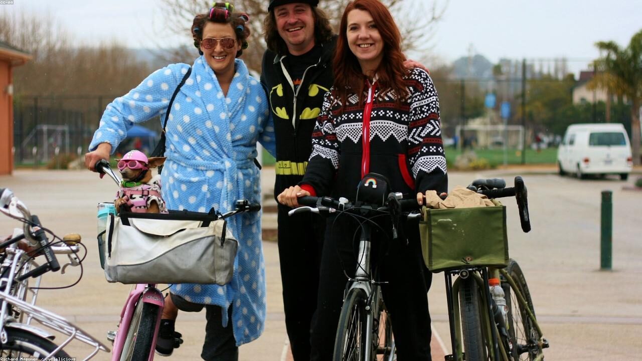 The Complete Chihuahua Vaccination Schedule inline image 2 with a Chihuahua