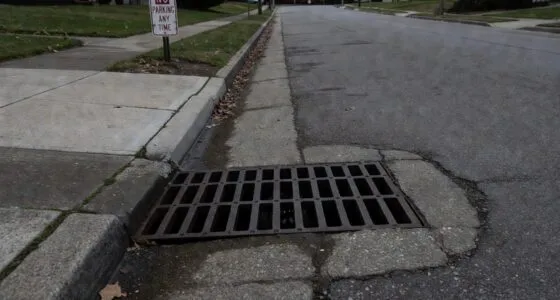 Storm drain where chihuahua was trapped