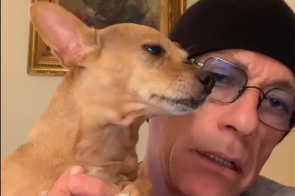 How Van Damme Saved a Chihuahua at the Norway Border